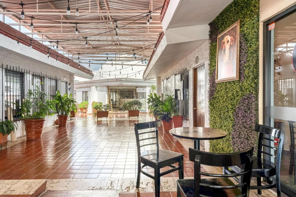 Hotel Arana galeria inferior 2